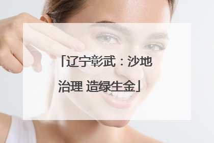 辽宁彰武：沙地治理 造绿生金