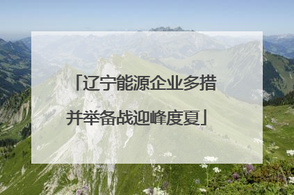 辽宁能源企业多措并举备战迎峰度夏