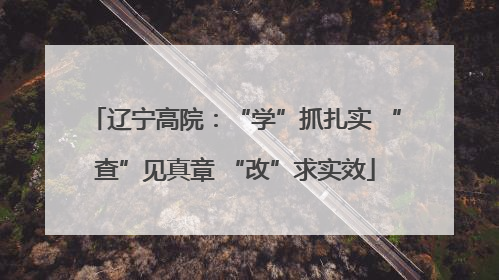 辽宁高院：“学”抓扎实 “查”见真章 “改”求实效