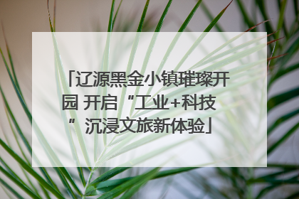 辽源黑金小镇璀璨开园 开启“工业+科技”沉浸文旅新体验