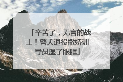 辛苦了，无言的战士！警犬退役撒娇训导员湿了眼眶