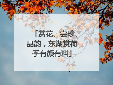 赏花、尝珍、品韵，东湖赏荷季有颜有料