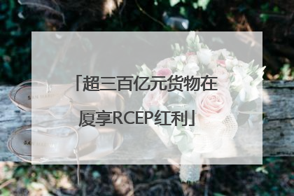 超三百亿元货物在厦享RCEP红利