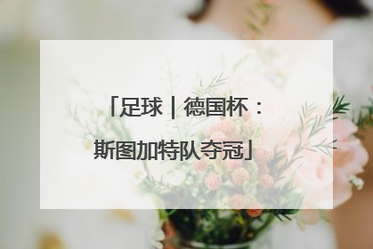 足球｜德国杯：斯图加特队夺冠