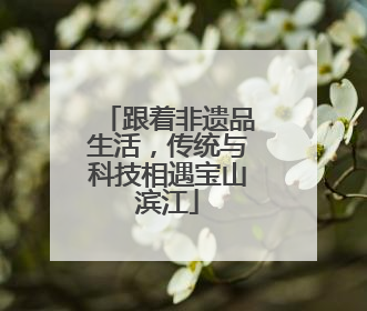 跟着非遗品生活，传统与科技相遇宝山滨江