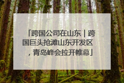 跨国公司在山东｜跨国巨头抢滩山东开发区，青岛峰会拉开帷幕
