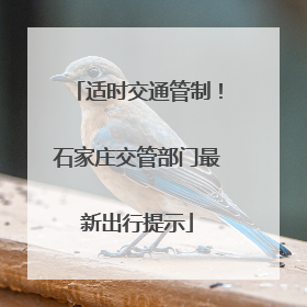 适时交通管制！石家庄交管部门最新出行提示