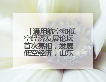 通用航空和低空经济发展论坛首次亮相，发展低空经济，山东机遇多