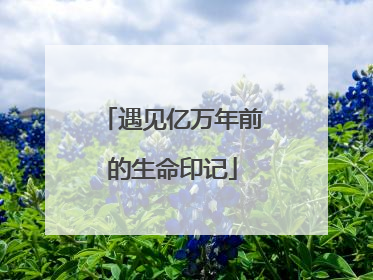 遇见亿万年前的生命印记