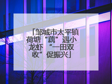 邹城市太平镇荷塘“藕”遇小龙虾 “一田双收”促振兴