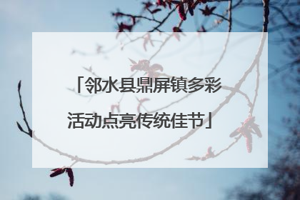 邻水县鼎屏镇多彩活动点亮传统佳节