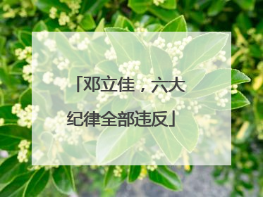 邓立佳，六大纪律全部违反