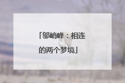 邬峭峰：相连的两个梦境