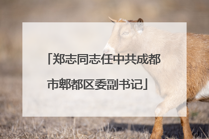 郑志同志任中共成都市郫都区委副书记
