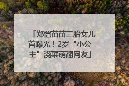郑恺苗苗三胎女儿首曝光！2岁“小公主”浇菜萌翻网友