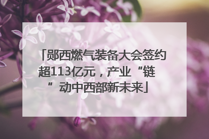 郧西燃气装备大会签约超113亿元，产业“链”动中西部新未来