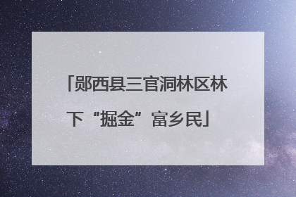 郧西县三官洞林区林下“掘金”富乡民