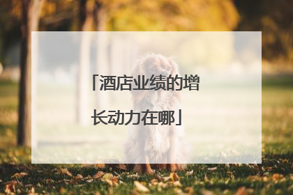 酒店业绩的增长动力在哪
