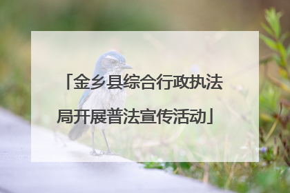 金乡县综合行政执法局开展普法宣传活动