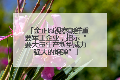 金正恩视察朝鲜重要军工企业，指示“要大量生产新型威力强大的炮弹”