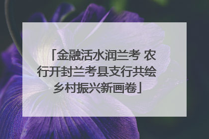 金融活水润兰考 农行开封兰考县支行共绘乡村振兴新画卷