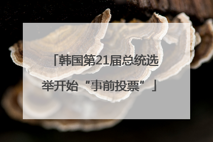 韩国第21届总统选举开始“事前投票”