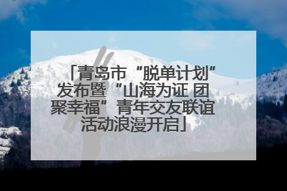 青岛市“脱单计划”发布暨“山海为证 团聚幸福”青年交友联谊活动浪漫开启