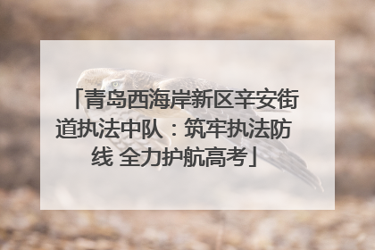 青岛西海岸新区辛安街道执法中队：筑牢执法防线 全力护航高考