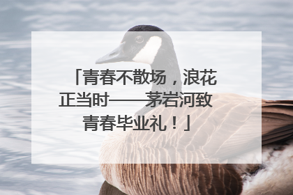 青春不散场，浪花正当时——茅岩河致青春毕业礼！
