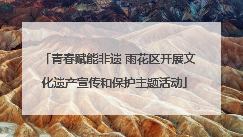 青春赋能非遗 雨花区开展文化遗产宣传和保护主题活动