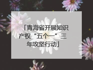 青海省开展知识产权“五个一”三年攻坚行动