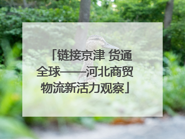 链接京津 货通全球——河北商贸物流新活力观察