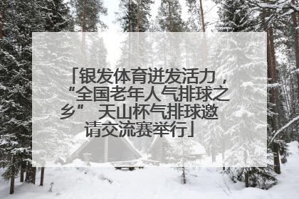银发体育迸发活力，“全国老年人气排球之乡” 天山杯气排球邀请交流赛举行