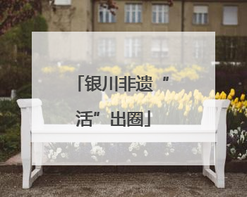 银川非遗“活”出圈