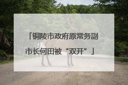 铜陵市政府原常务副市长何田被“双开”
