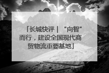 长城快评｜“向智”而行，建设全国现代商贸物流重要基地
