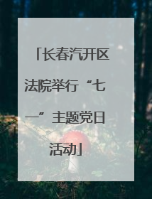 长春汽开区法院举行“七一”主题党日活动