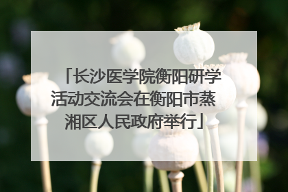 长沙医学院衡阳研学活动交流会在衡阳市蒸湘区人民政府举行