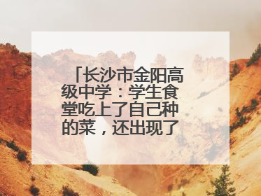 长沙市金阳高级中学：学生食堂吃上了自己种的菜，还出现了一批劳动能手