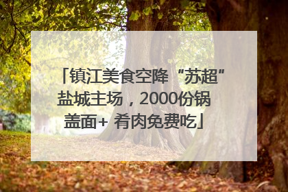 镇江美食空降“苏超”盐城主场，2000份锅盖面+ 肴肉免费吃
