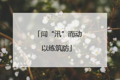 闻“汛”而动 以练筑防