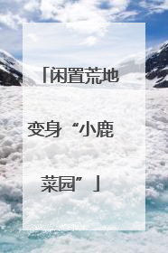 闲置荒地变身“小鹿菜园”
