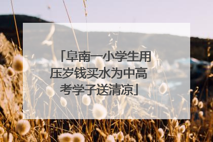阜南一小学生用压岁钱买水为中高考学子送清凉