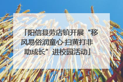 阳信县劳店镇开展“移风易俗润童心·扫黄打非助成长”进校园活动