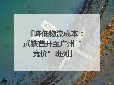 降低物流成本：武铁首开至广州“竞价”班列