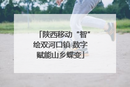 陕西移动“智”绘双河口镇 数字赋能山乡蝶变