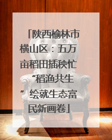 陕西榆林市横山区：五万亩稻田插秧忙 “稻渔共生”绘就生态富民新画卷