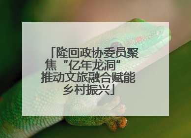 隆回政协委员聚焦“亿年龙洞” 推动文旅融合赋能乡村振兴
