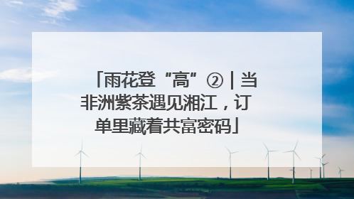 雨花登“高”②｜当非洲紫茶遇见湘江，订单里藏着共富密码