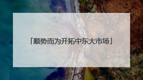 顺势而为开拓中东大市场